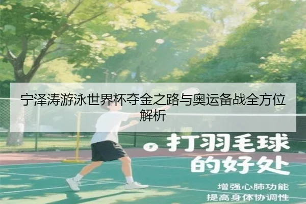 宁泽涛游泳世界杯夺金之路与奥运备战全方位解析 - LD